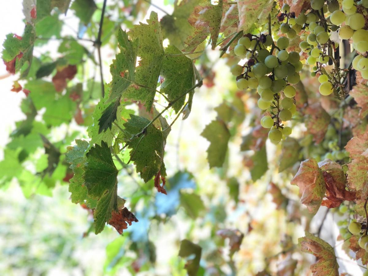 L'Antico Podere Soresina Luaran gambar